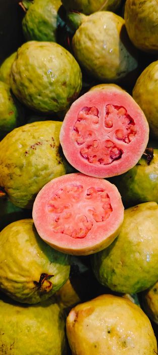 Fruta goiaba de polpa vermelha