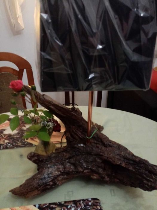 Ekstrawagancka lampa z korzenia