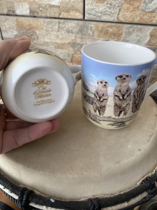 Kawa herbata Leonardo