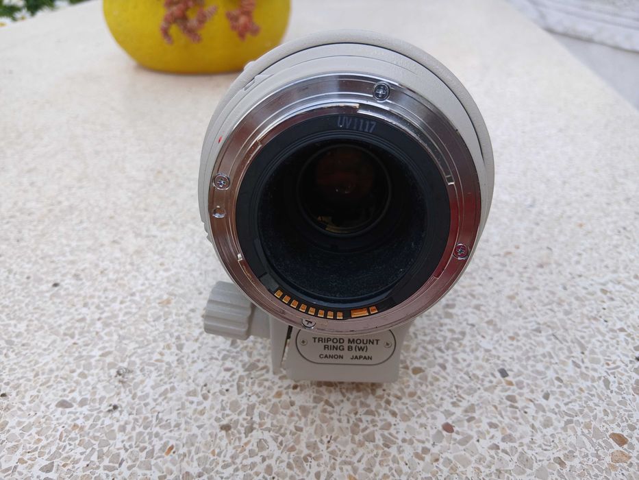 Objetiva Canon EF 100-400mm F4.5-5.6L IS USM