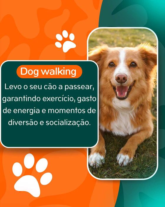 Pet Sitting e Dog Walking466891706854942722