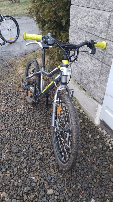 Rower Kross Hexagon 1