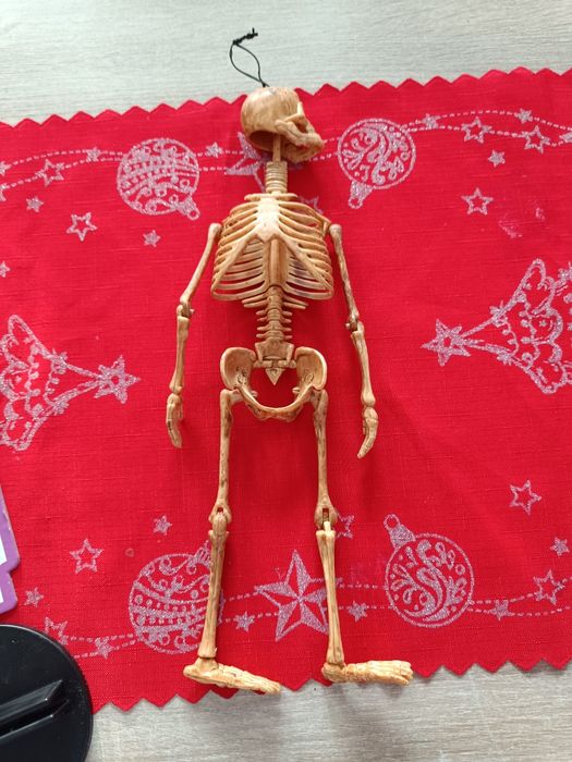 Puzzle szkielet człowieka 7-12 lat