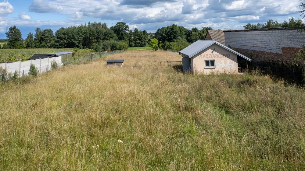 Działka 4100 m² w Bokinach | zabudowa mieszkaniowa | otulina Narwiańskiego Parku Narodowego - Widok 3