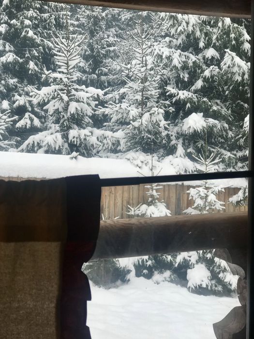 Затишний котедж для відпочинку біля самого лісу на 6+2 гостей