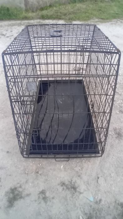 Caixa de transporte animais