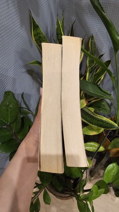 Тень горы (2 тома) Грегори Дєвид Робертс