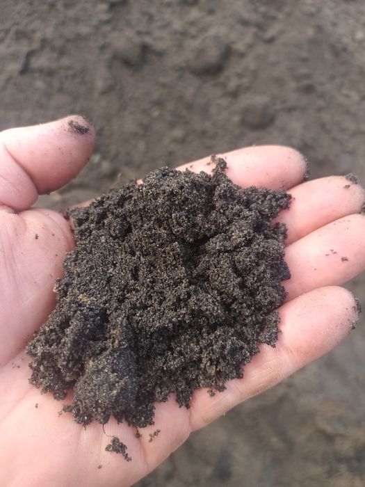 Ziemia ogrodowa przesiana