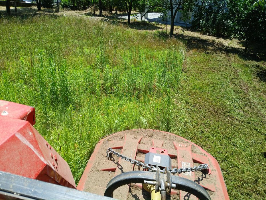 Limpezas de terrenos agricolas e florestais