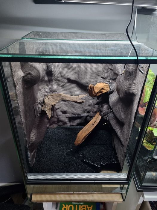 Terrarium tropikalne na zamówienie