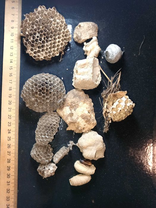 Рукоделие осиное дикое гнездо.