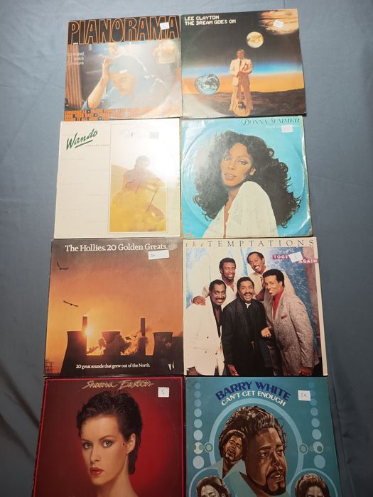 Lote de vinis variados