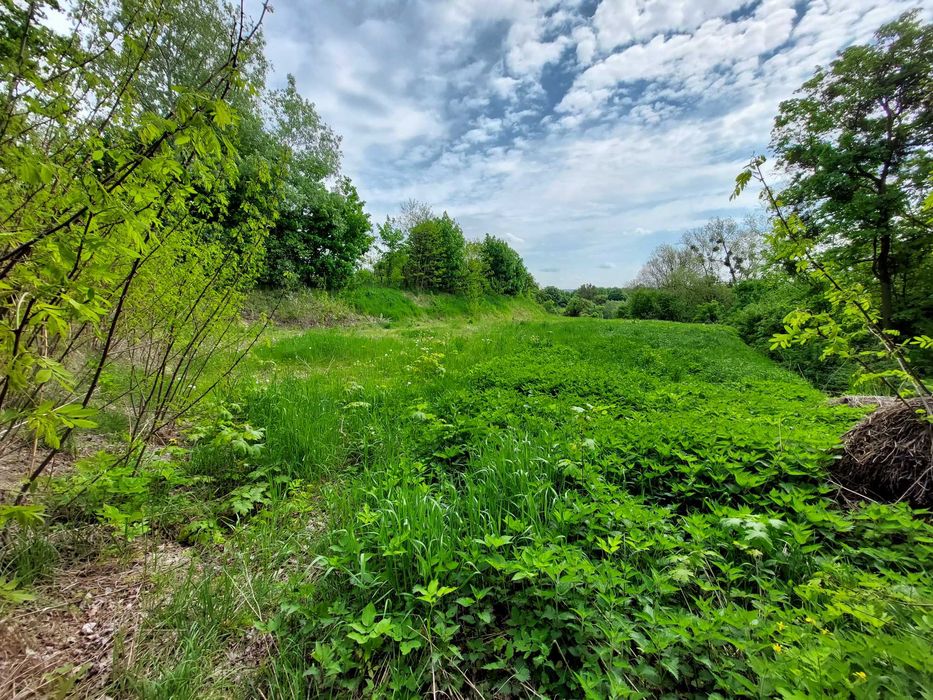 Działka z WZ / Opalenie / Dolina Wisły