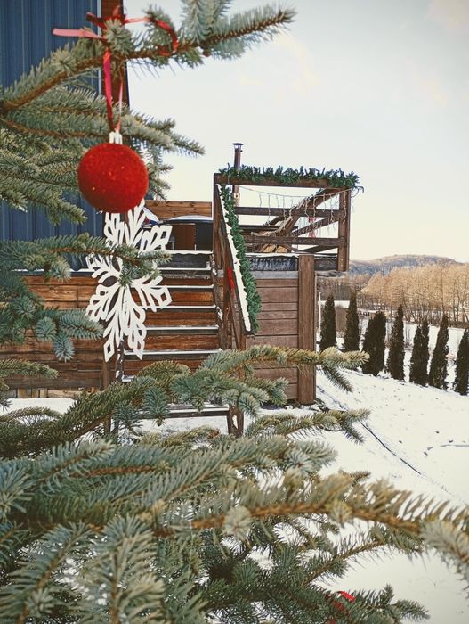 Оренда подобова будинок, апартементи,житло,чан,лижі,Майдан біля Львова