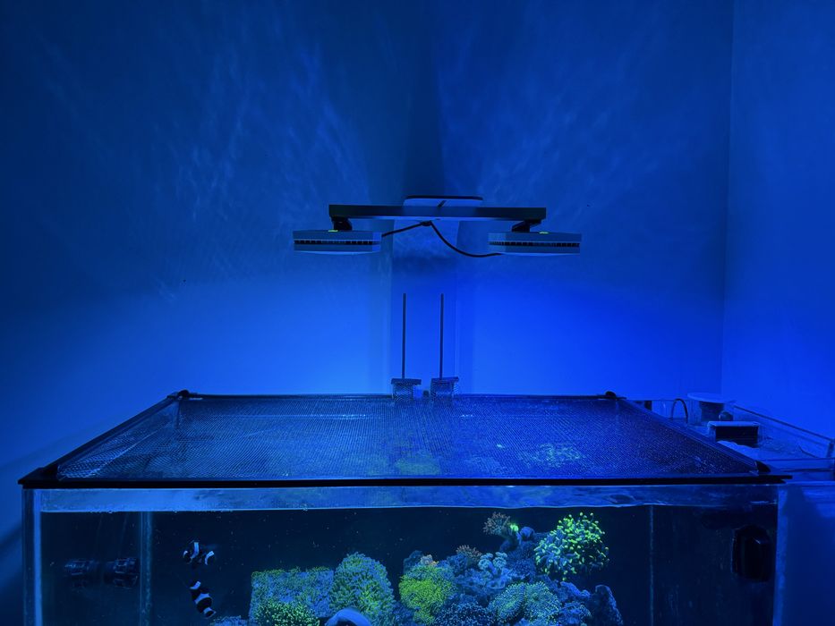 Aquário 200L 100x45x45