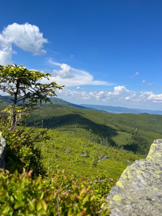 Chata u Ali w Górach z Jacuzzi