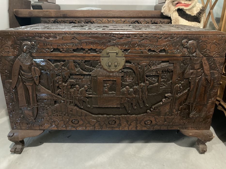 Arca em Canfora como nova