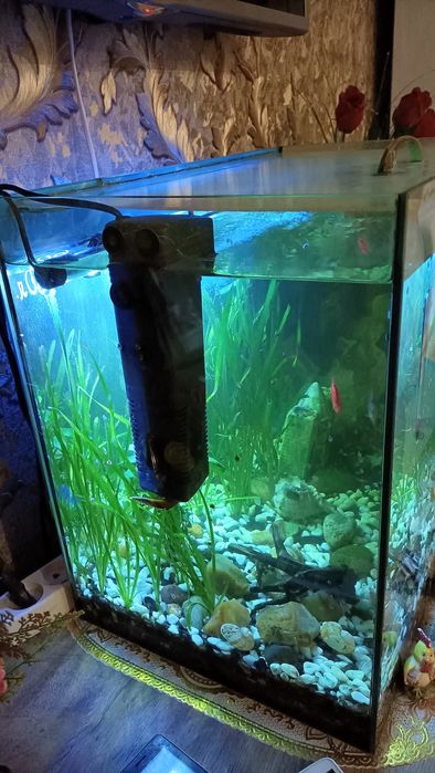 Продам аквариум со всем комплектующим .