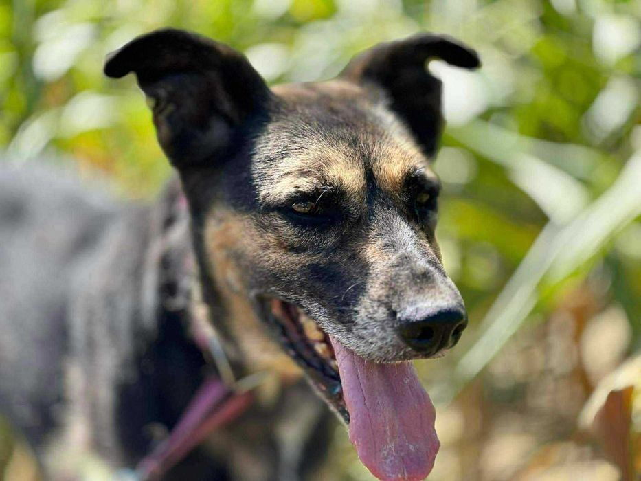 Radek - złamany przez Radysy. Nadal ma nadzieję.