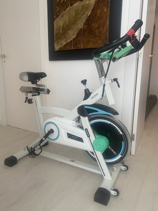 Bicicleta Indoor Cecotec Profissional
