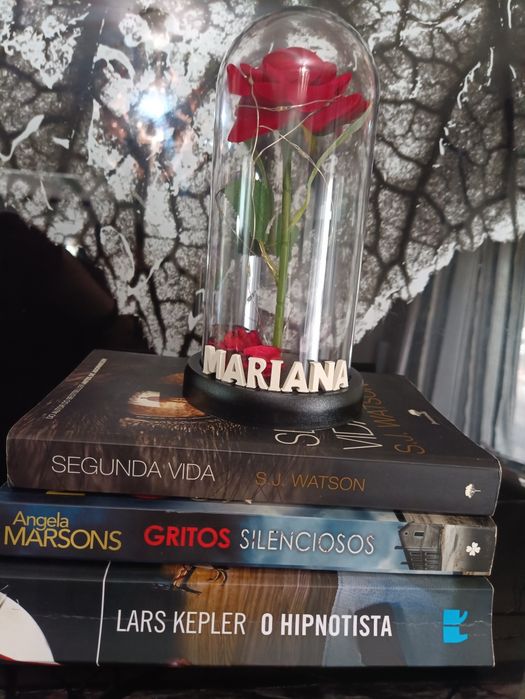 Dia da mãe Cúpula, redoma c/rosa e led's+ nome personalizado