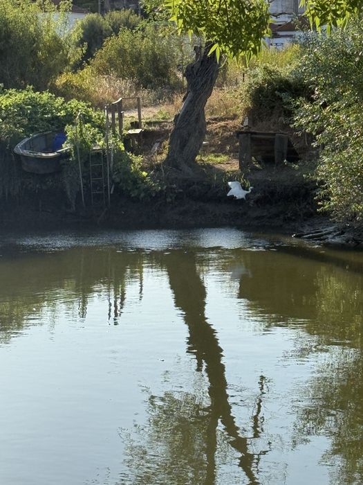 Terreno para alugar 15 mil metros quadrados
