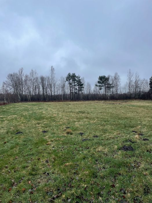 Działka nad morzem - Widok 5