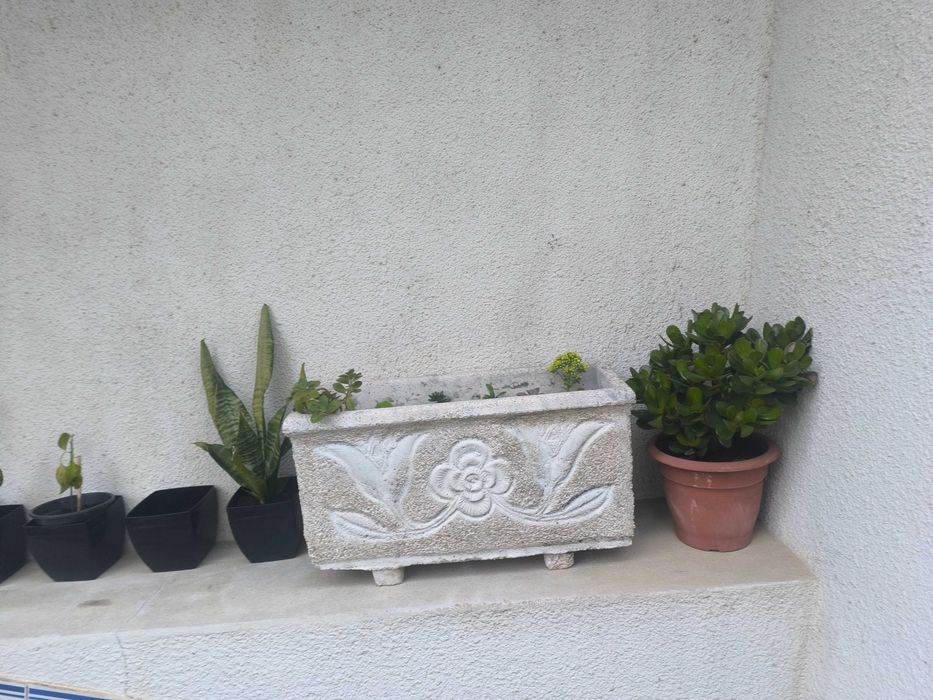 Canteiro para flores