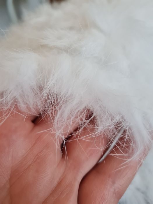 Czapka ciepła z prawdziwym króliczym futerkiem biała NOWA z FRANCJI