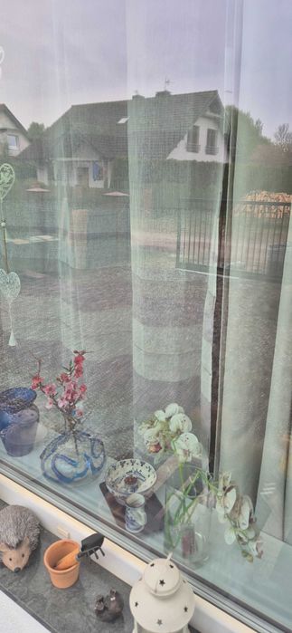 wynajem apartamentu