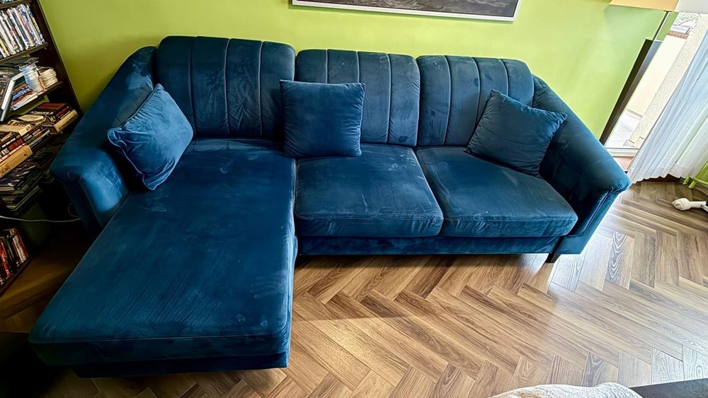 Rogówka Agata 2letnia w pięknym niebieskim kolorze
