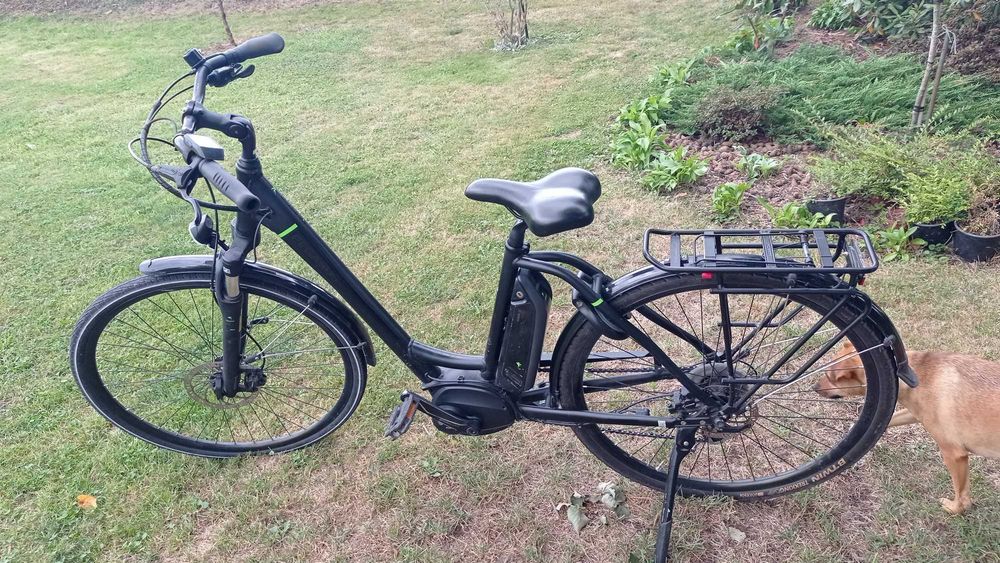 Sprzedam 2 rowery elektryczne z silnikiem Bosch