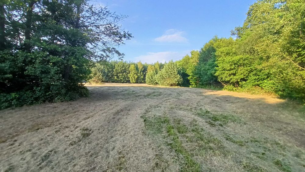 Działka pod zabudowę - Ojrzeń - Widok 4