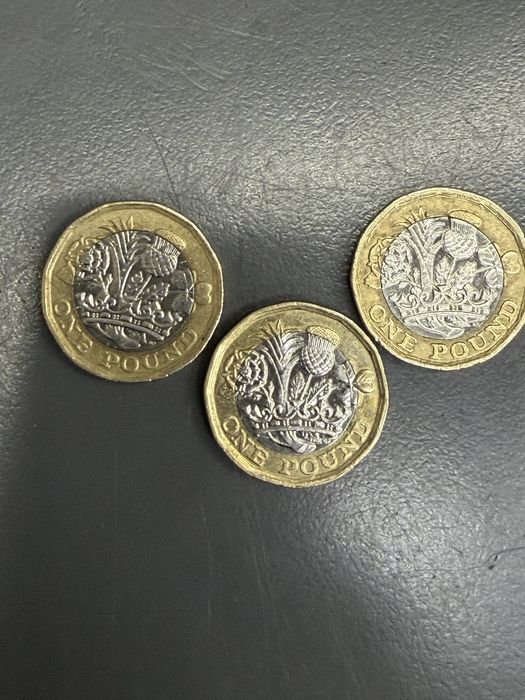 ONE POUND Elizabeth II 2016