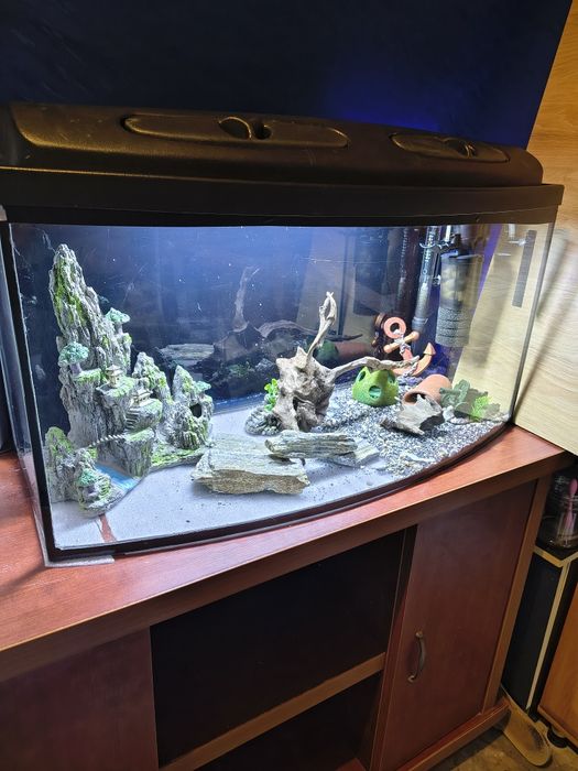 Akwarium 112l z szafką i asortymentem