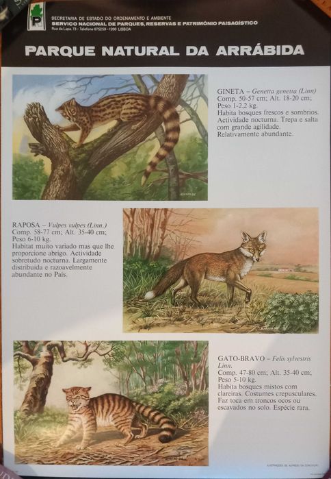 Posters Parque Natural da Arrábida