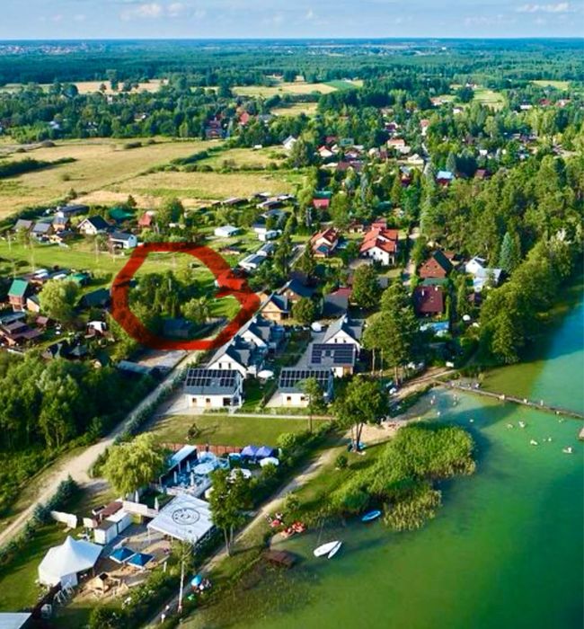 Okuninka Jezioro Białe, blisko plaży
