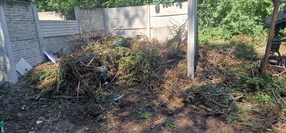 Wywóz gałęzi korzeni odpady zielone