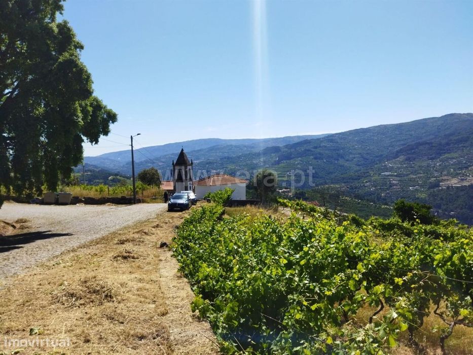 Terreno / Baião, Ancede e Ribadouro