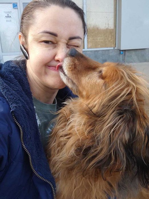 Любить обійматися, дає лапку. Особливий песик Бахмут