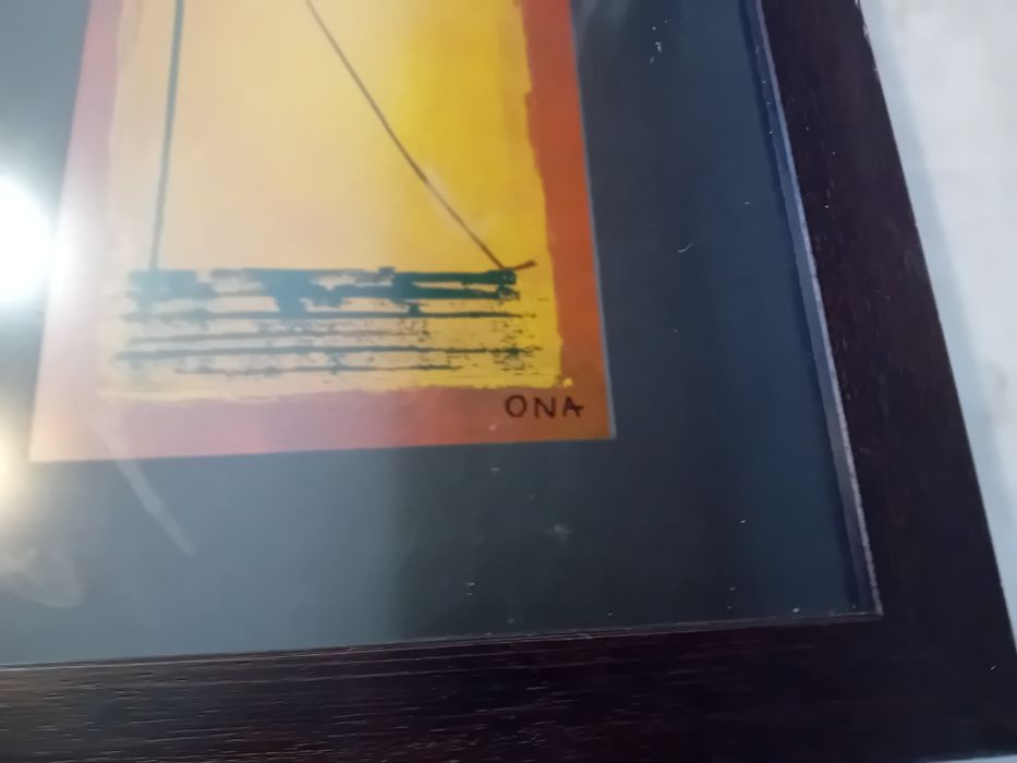 Quadro Decorativo Ona