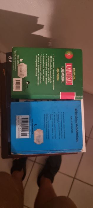 Dicionários Portugues e português inglês