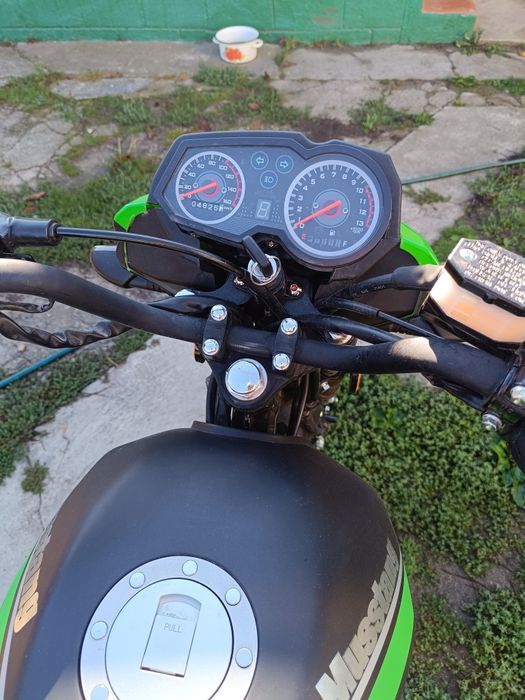 Мустанг Foxi 150 2024