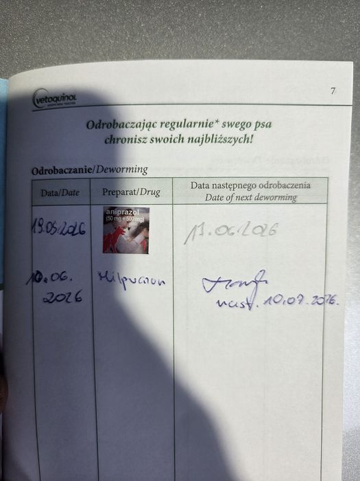 Oddam Psa Owczarka Niemieckiego Lubartów • OLX.pl