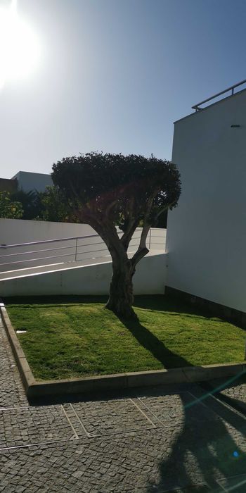 Jardineiro Sintra/Mafra/Ericeira