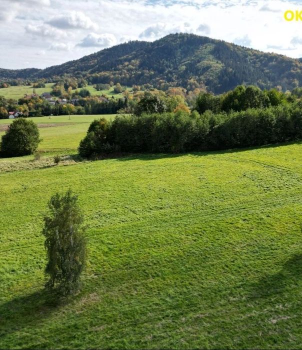 PIĘKNA Widokowa Działka 44ar