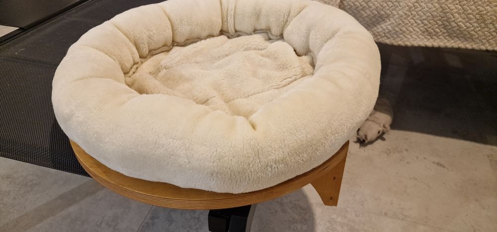 Legowiska ścienne dla kotów - 3 szt.