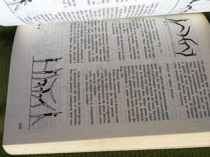 Ginástica de aparelhos, Günther Borrmann