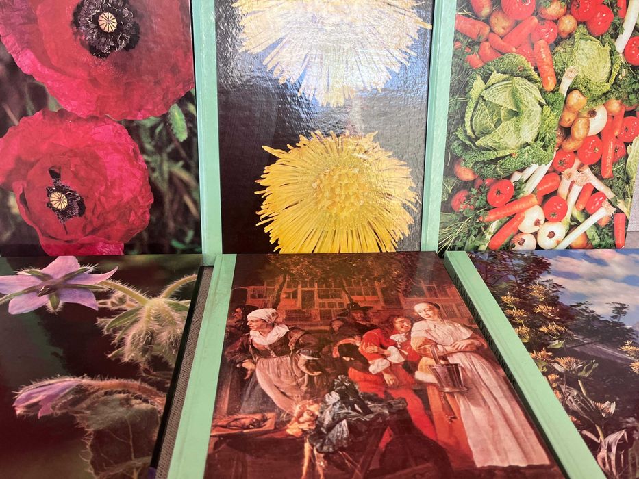 As Plantas Nossas Amigas 8 Volumes Completo!