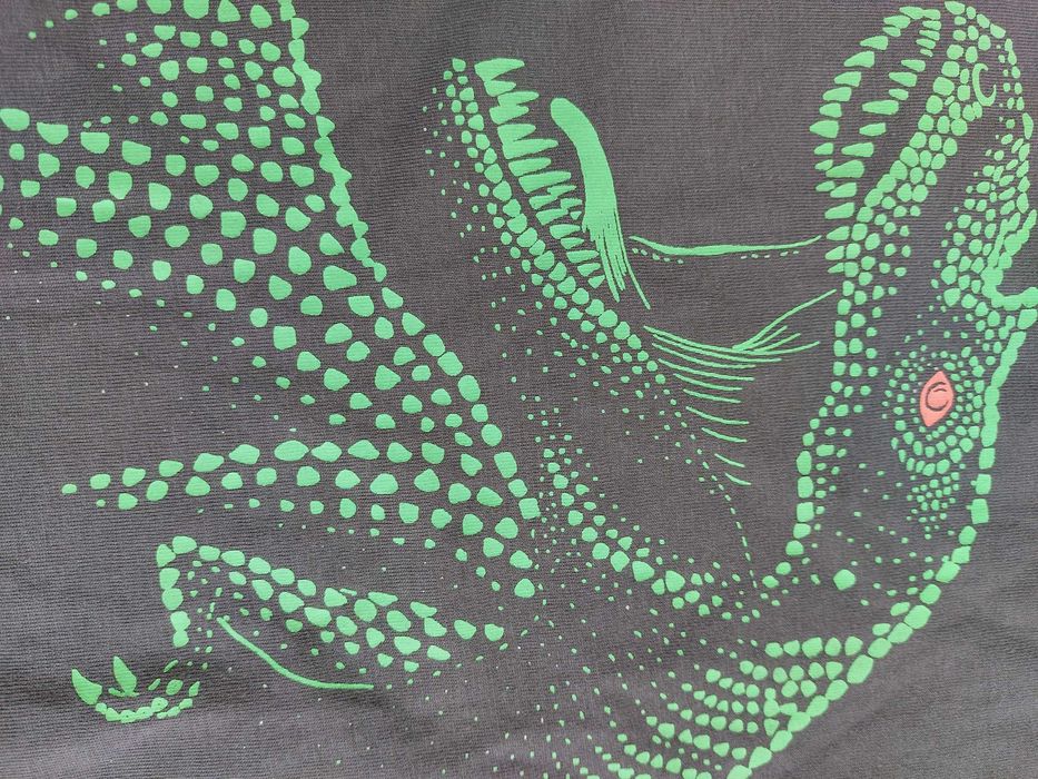 Bluzka, koszulka NOWA  NEXT,